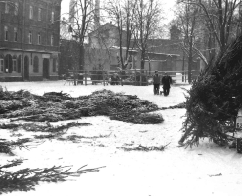Tannenbäume auf dem Höchster Marktplatz zum Verkauf. Es lag Schnee. Um 1930.